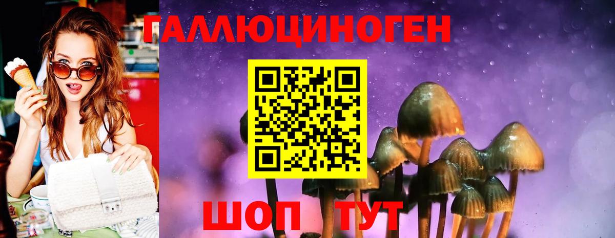 Псилоцибиновые грибы Psilocybe Новый Уренгой