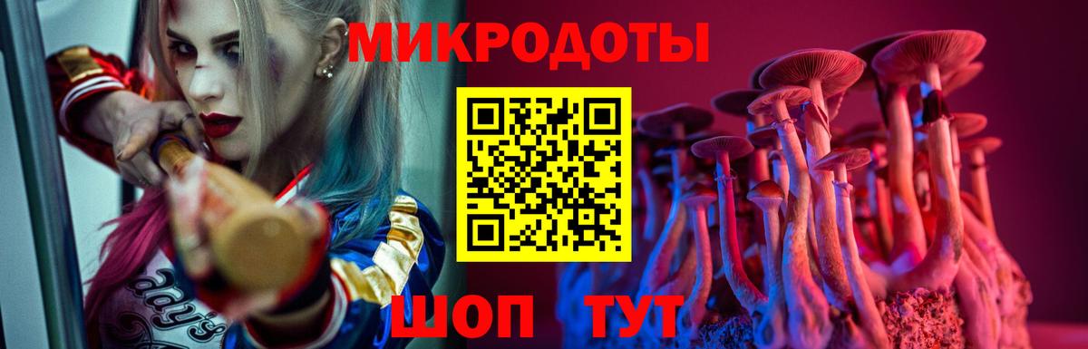 Галлюциногенные грибы Psilocybine cubensis  Вход с VPN  Новый Уренгой 