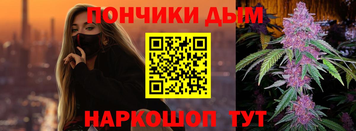 Каннабис план  Вход с VPN  Новый Уренгой  Шишки марихуана гибрид  Бошки марихуана AK-47 